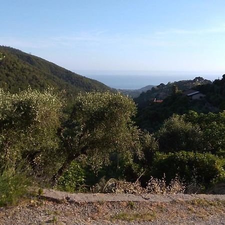 La Porta Del Sole Apartman Seborga Kültér fotó