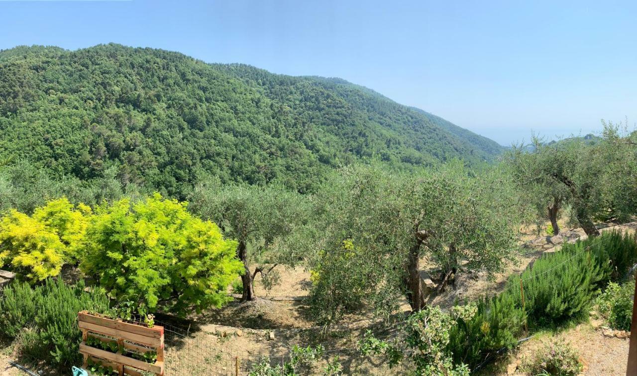 La Porta Del Sole Apartman Seborga Kültér fotó